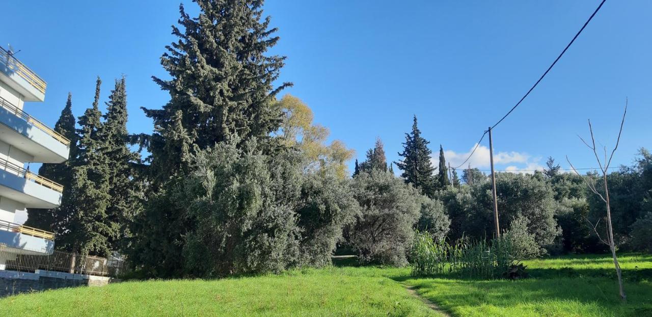 Όμορφο Studio Στην Πόλη Πάτρα Extérieur photo